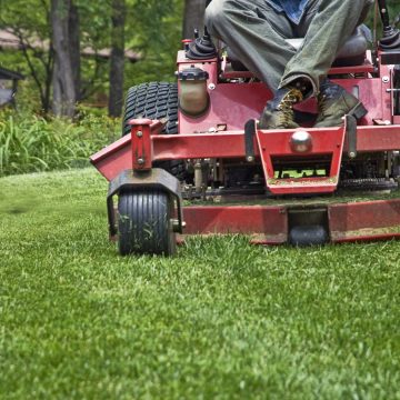 Lawn Mowing